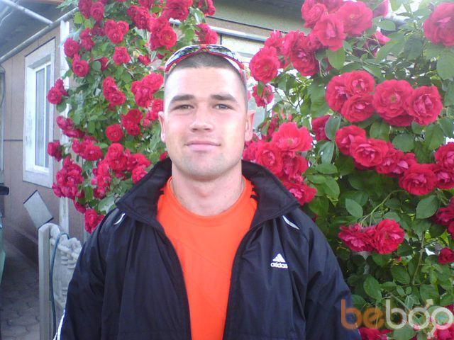  ,   VETaLEi, 37 ,   