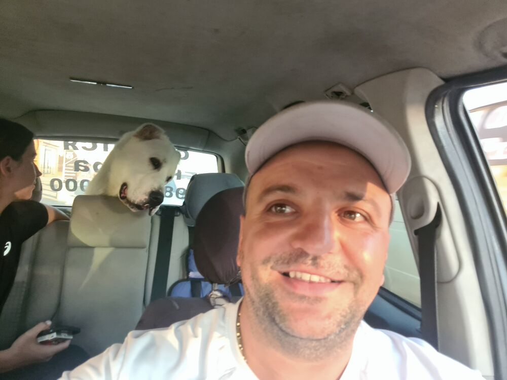 ���������� �����, ���� ������� ����, 38 ���, ������������ ��� ������, ����� � ���������