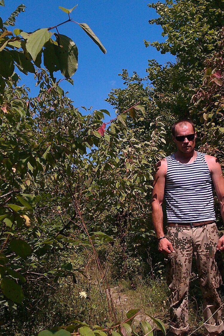 ���������� ����, ���� ������� ����, 43 ����, ������������ ��� ������