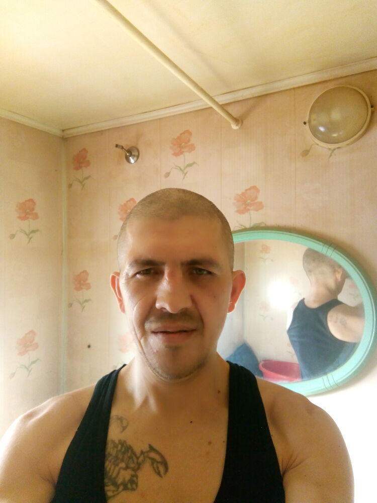  41908087  , 41 ,    