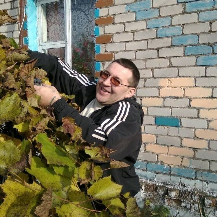 ���������� �����, ���� ������� ��������, 48 ���, ������������ ��� ������, ����� � ���������, c�������� ���������