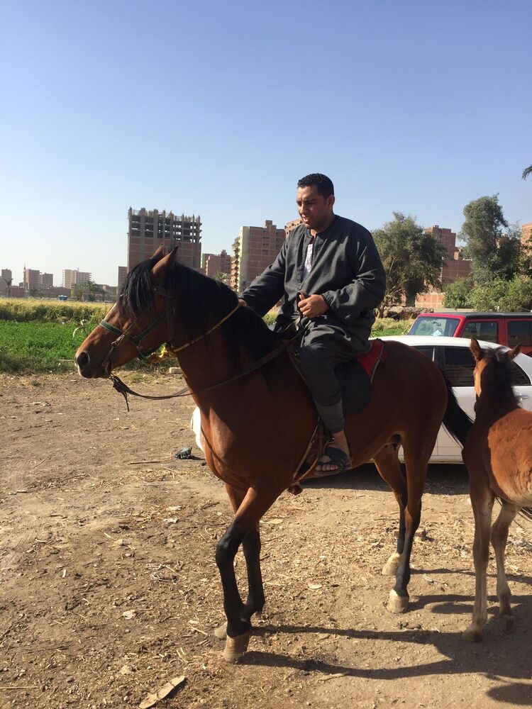  Al Ghardaqah,   Miro, 40 ,   c 