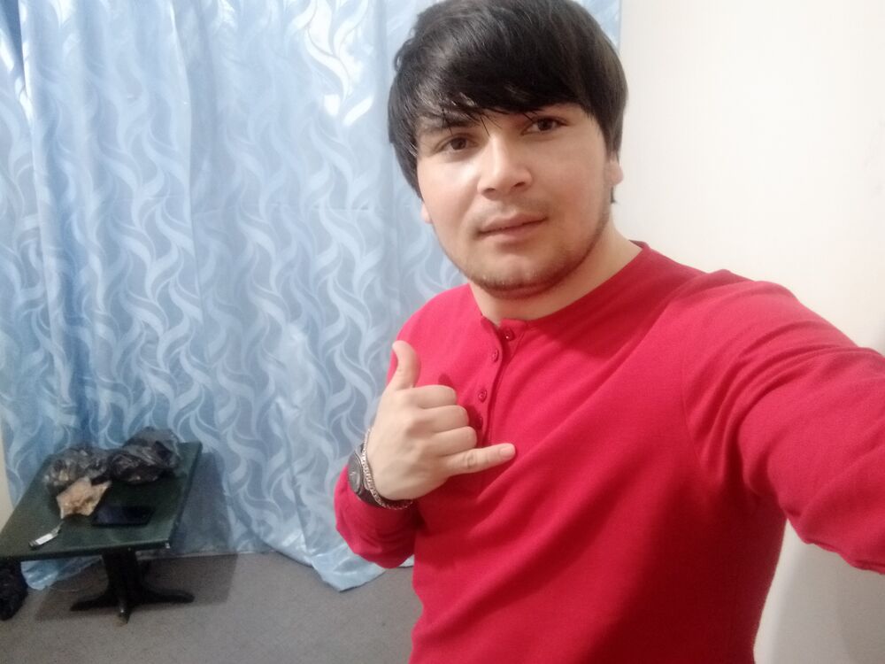  24574847  , 31 ,    