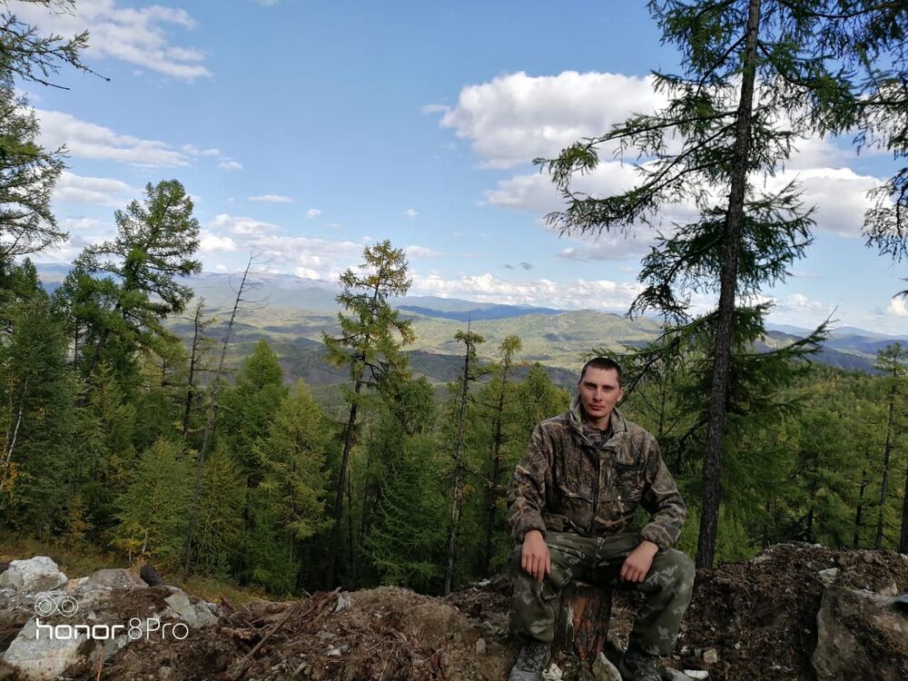 ���� 26686237 ������� ����, 29 ���, ���� ���������� � �����������