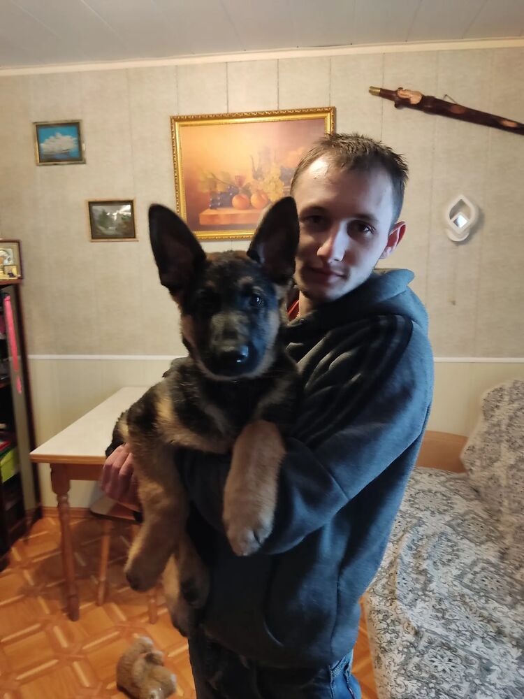  31783847  , 27 ,    -