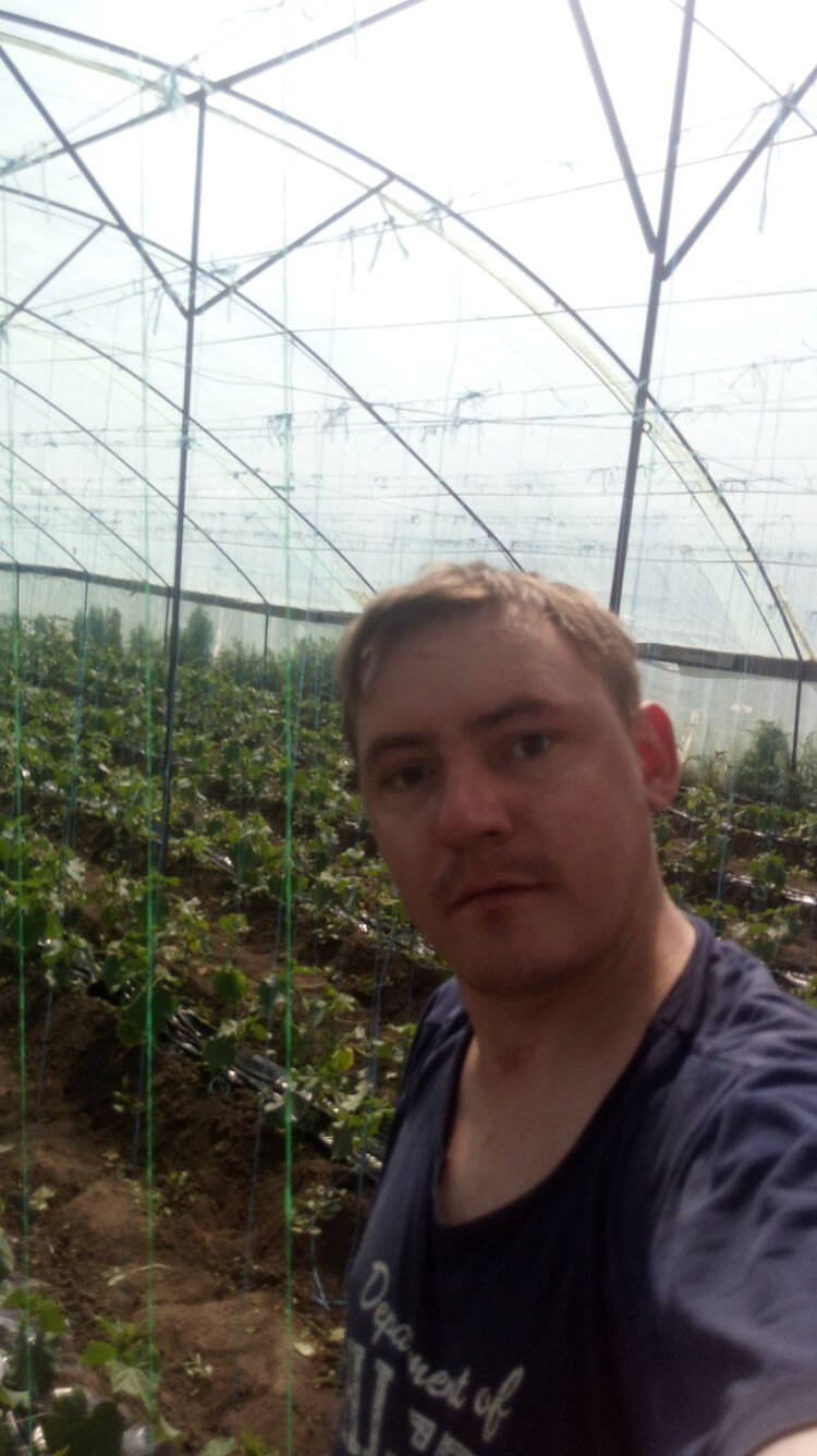  ,   , 37 ,     , c 