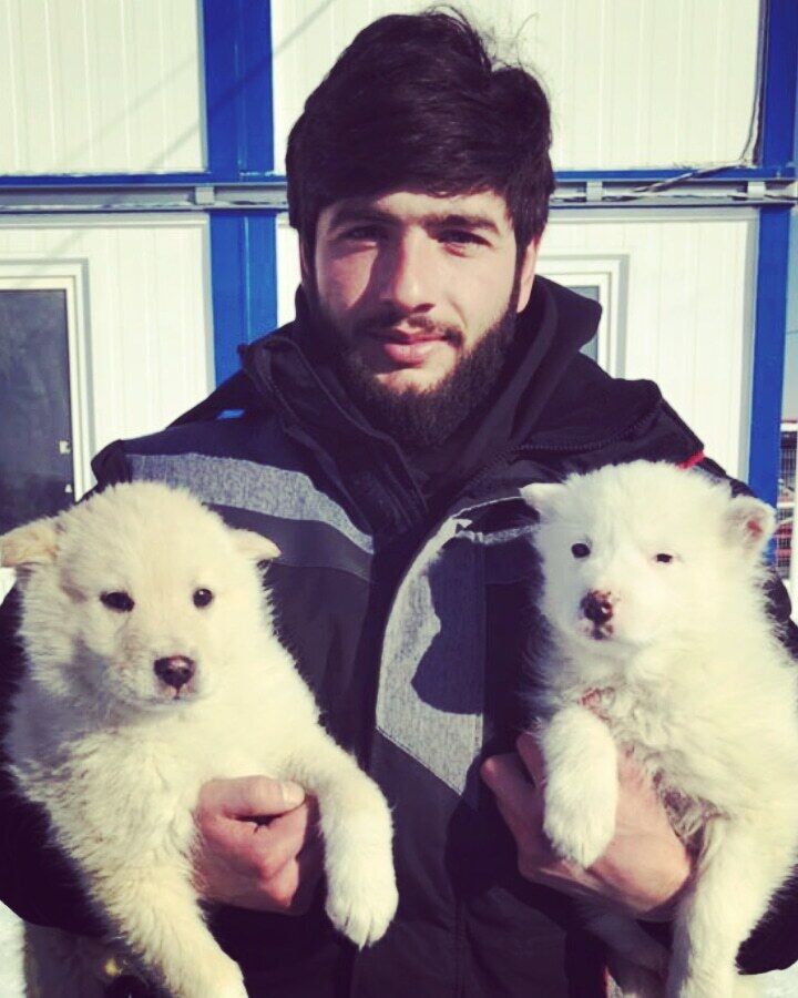  ,   David, 27 ,   ,   