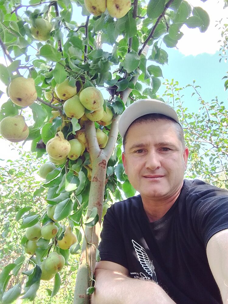 ���� 46173107 ������� �����, 38 ���, ���� ���������� � ������