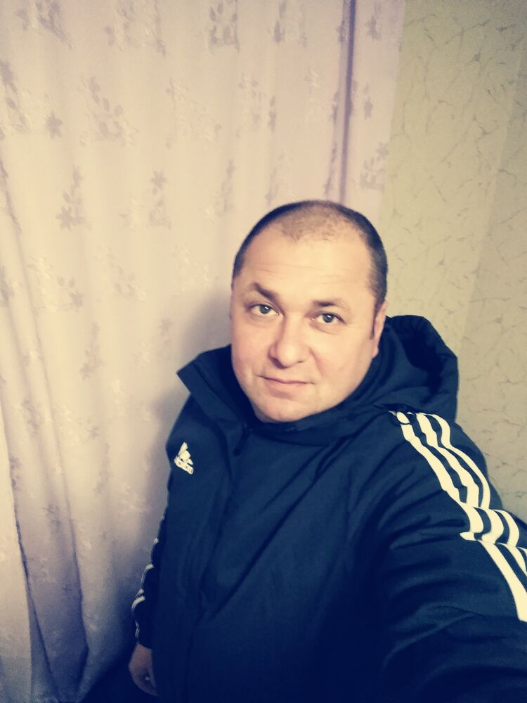  41331447  , 46 ,    