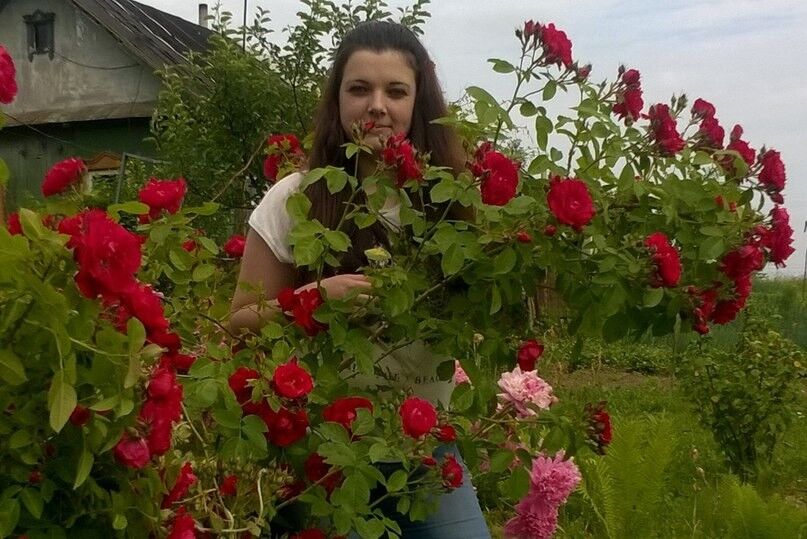 ���������� �����, ���� ������� ����, 38 ���, ������������ ��� ������, ����� � ���������, c�������� ���������