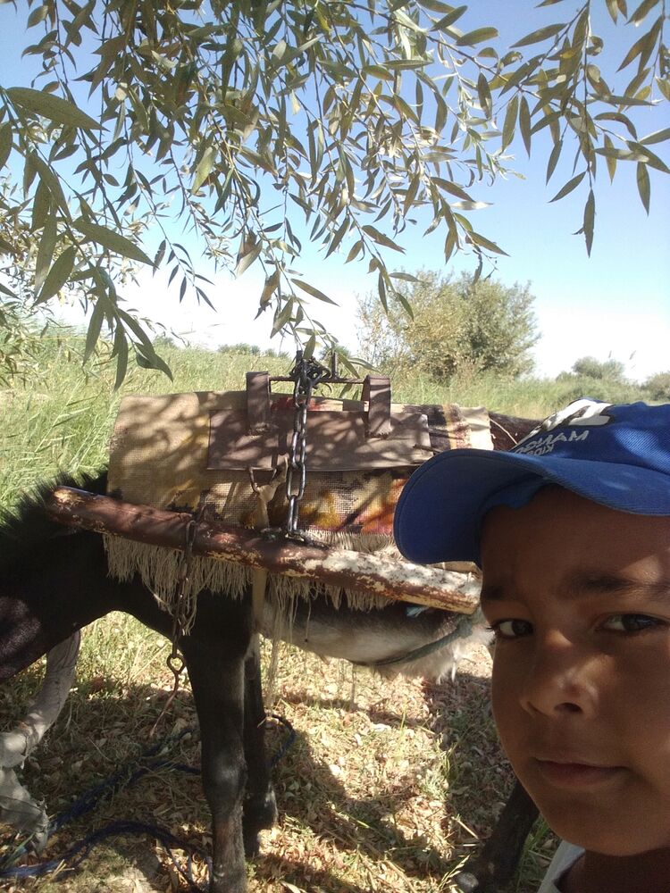 ���� 42819157 ������� ������, 29 ���, ���� ���������� � ��������