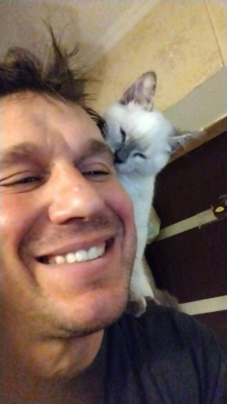 ���� 56080877 ������� ������, 36 ���, ���� ���������� � �����