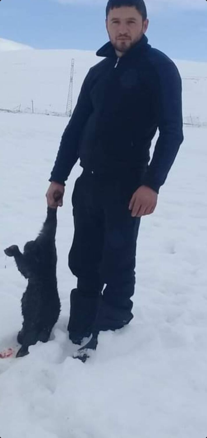  ,   Hayk, 35 ,   ,   