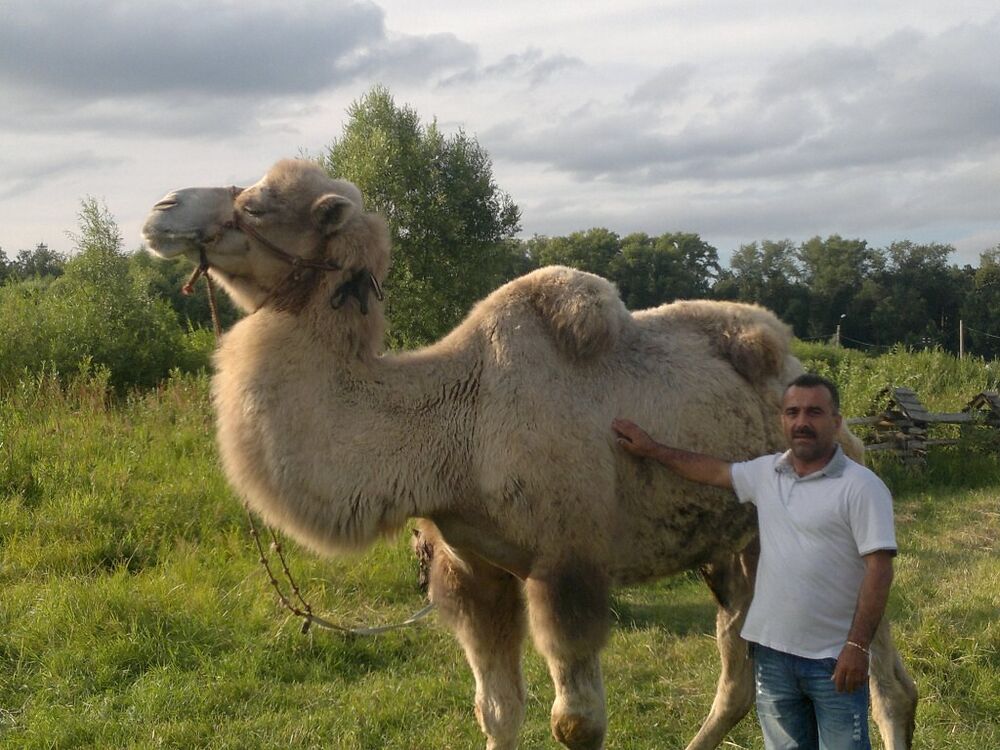 ���� 56248537 ������� ������, 58 ���, ���� ���������� � ������