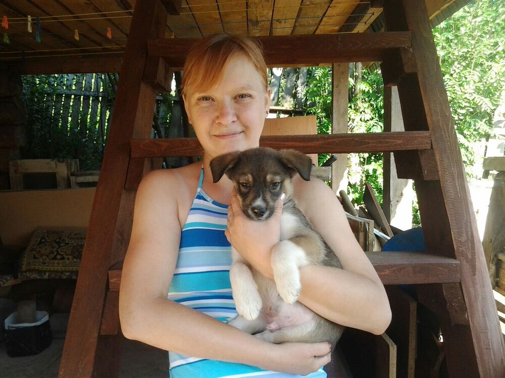 ���� 20495897 ������� ����, 36 ���, ���� ���������� � �����