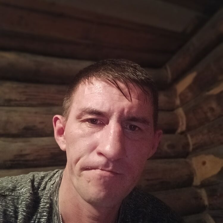  44198057  , 41 ,    -