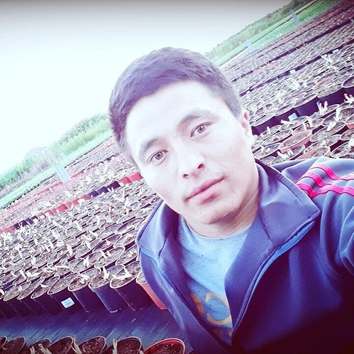 ���������� ������, ���� ������� ������, 31 ���, ������������ ��� ������, ����� � ���������, c�������� ���������