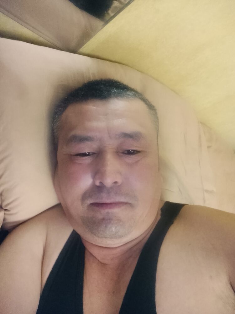  49936057  , 44 ,    