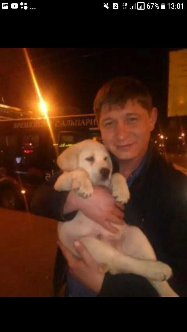 ���������� ������, ���� ������� ���������, 41 ���, ������������ ��� c�������� ���������