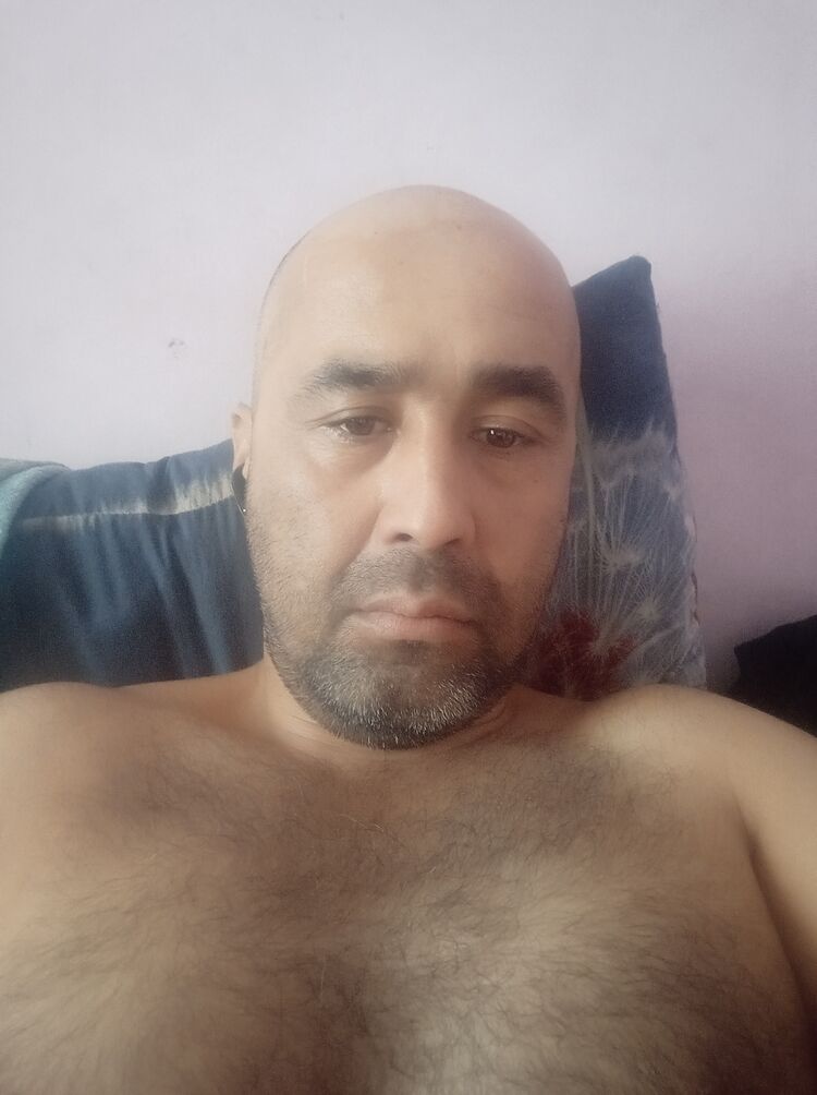  48653837  , 37 ,    