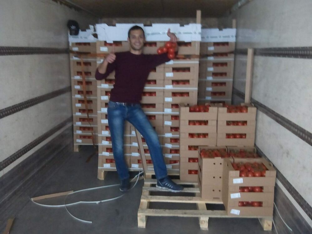 ���������� ���������, ���� ������� Edik, 34 ����, ������������ ��� ������, ����� � ���������, c�������� ���������