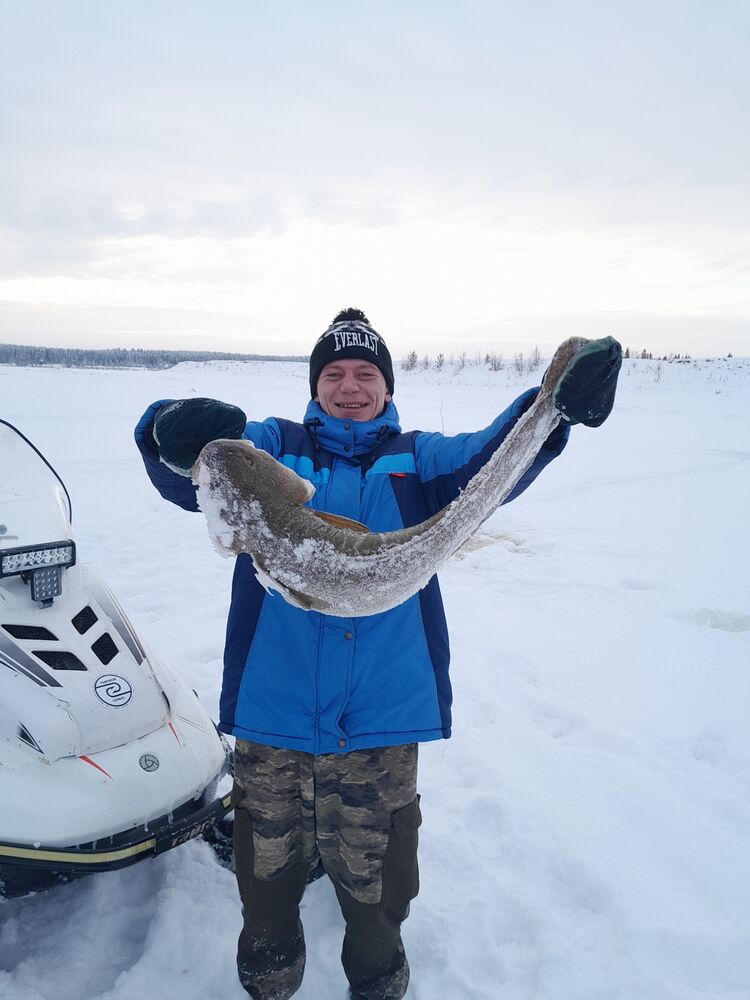 ���� 50159737 ������� ������, 36 ���, ���� ���������� � ����-������