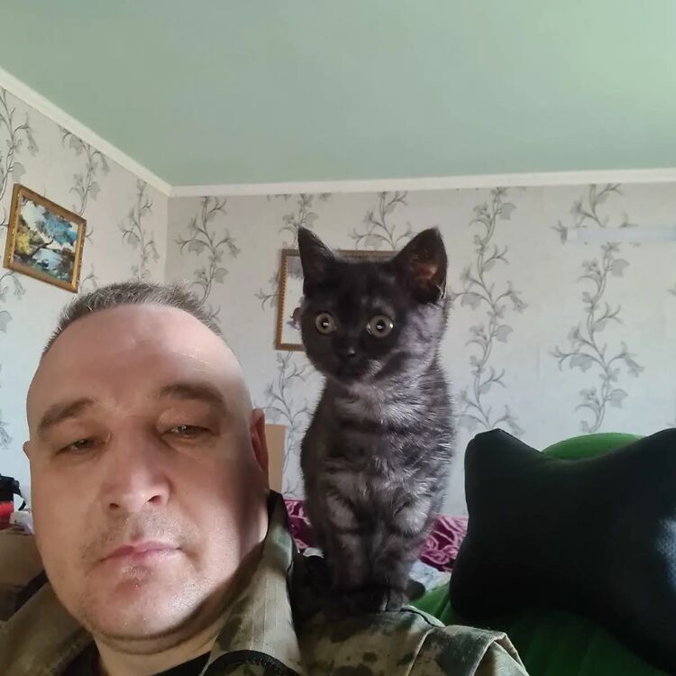  ,   , 42 ,   ,   , c 