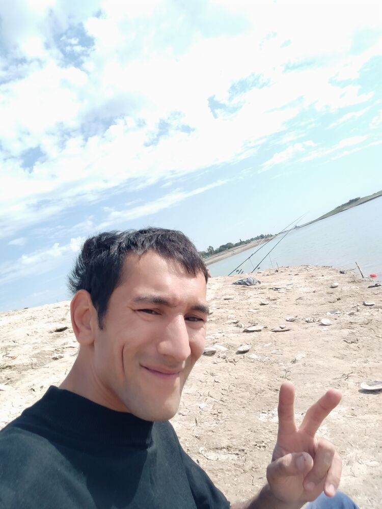  23455277  , 43 ,    