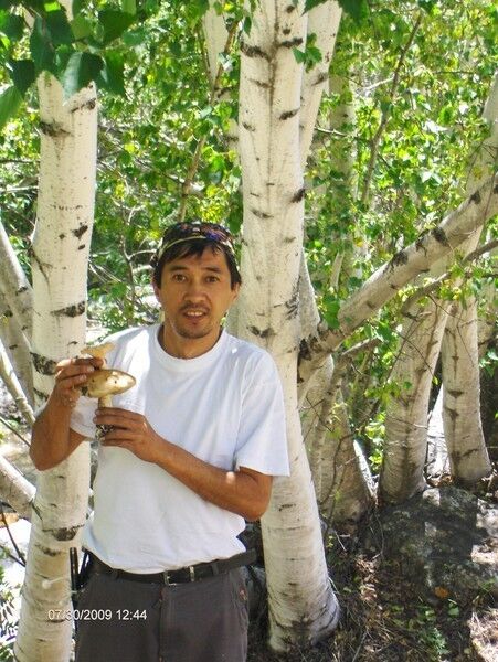  ,   Umauma, 52 ,   ,   , c 
