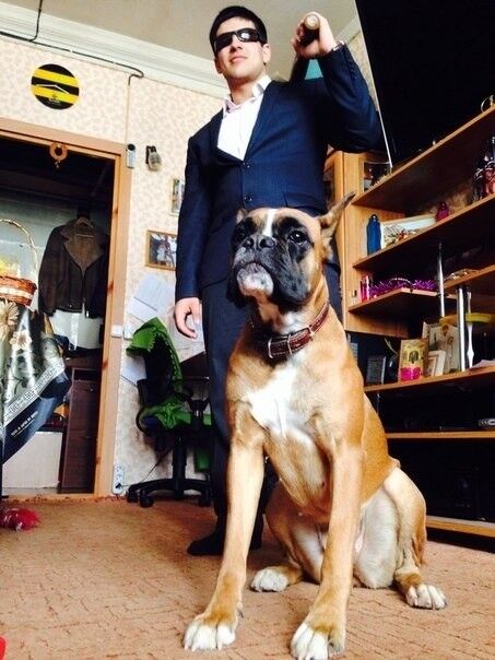 ���� 9369057 ������� ������, 29 ���, ���� ���������� � �������� ������