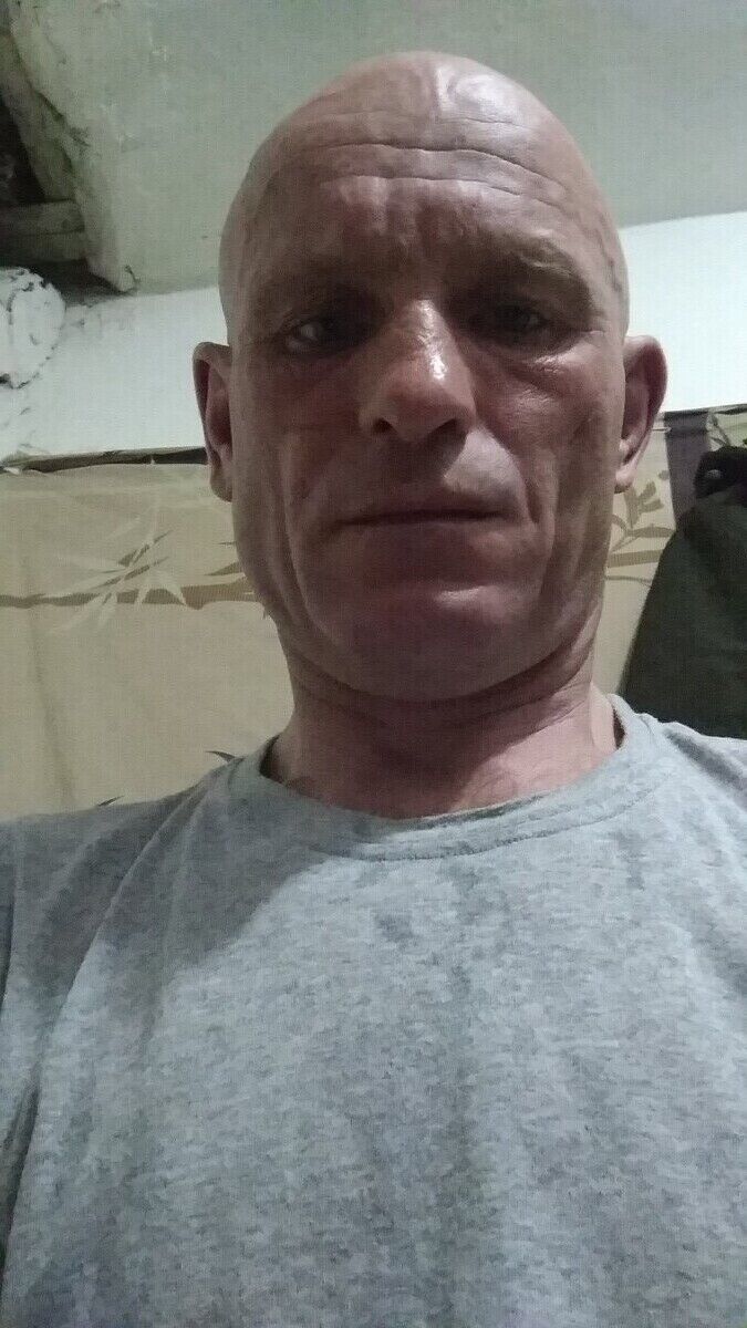  22536817  , 43 ,    