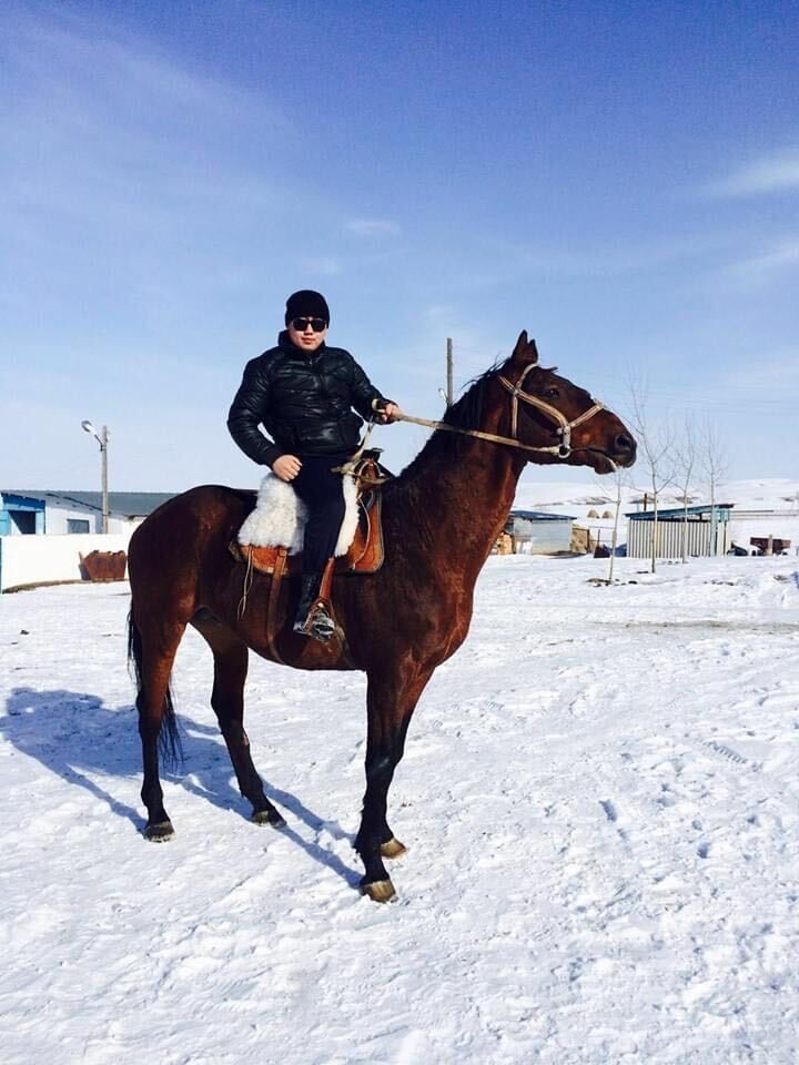 ���������� ������, ���� ������� �����, 37 ���, ������������ ��� ������, ����� � ���������