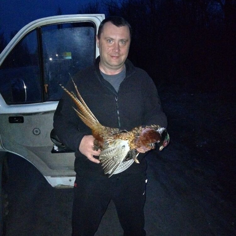 ���� 23522297 ������� �����, 45 ���, ���� ���������� � ���������