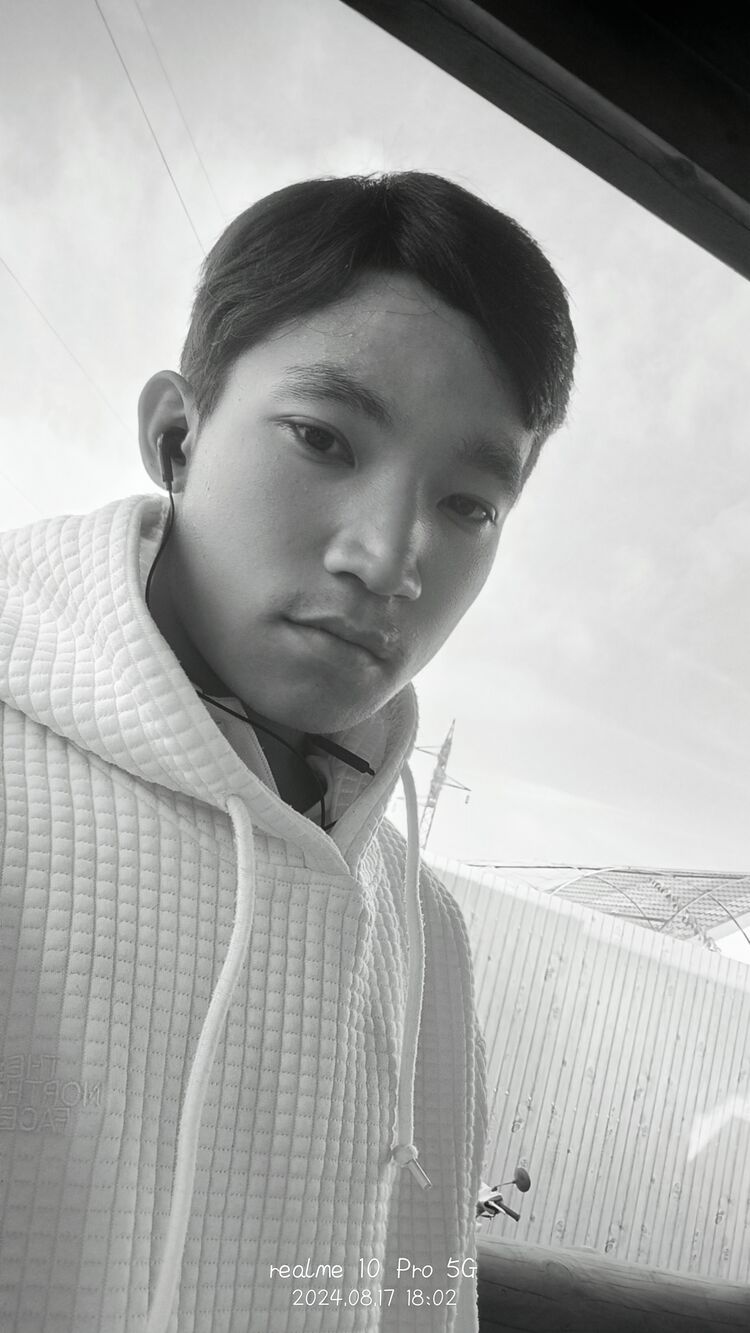 ���� 49079297 ����� �������, 20 ���, ���� ���������� � ����������