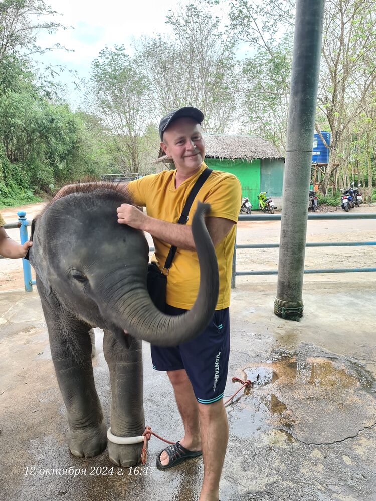 ���������� ���������, ���� ������� �������, 50 ���, ������������ 