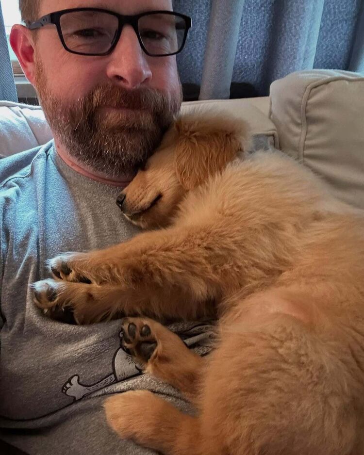 ���� 51735887 ������� ������, 42 ����, ���� ���������� � �������