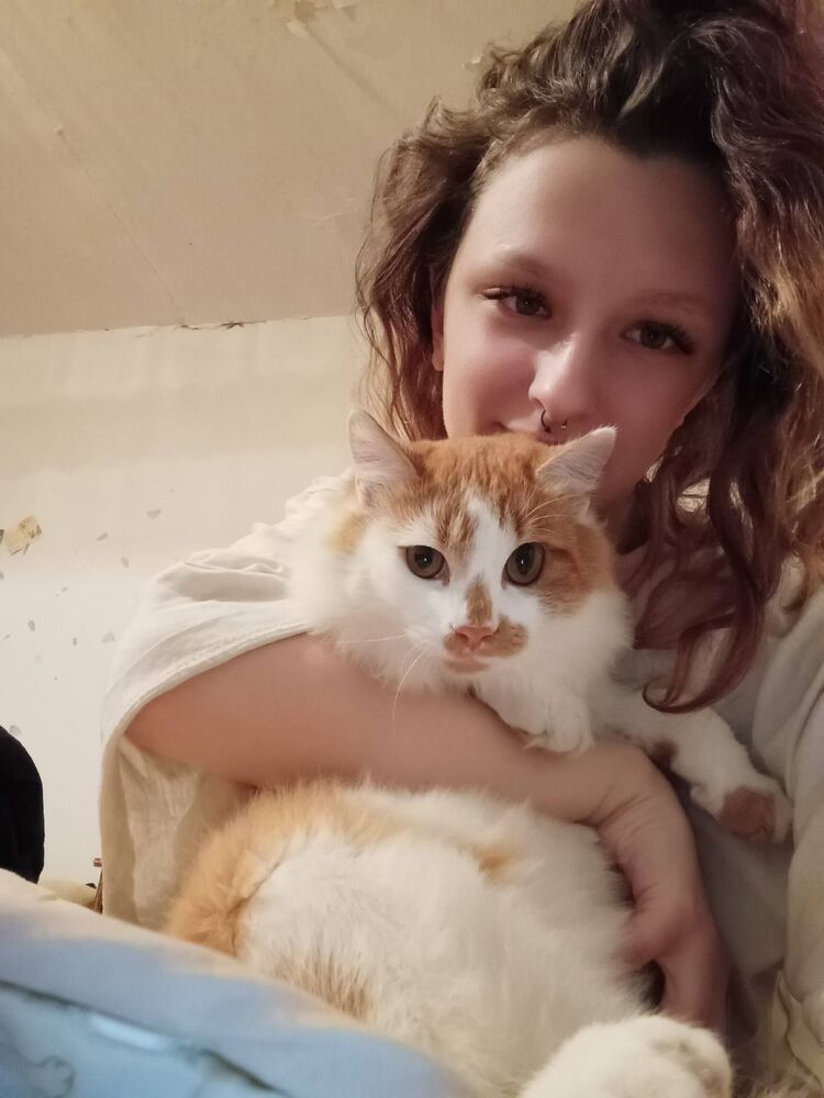 ���������� �����, ���� ������� ����, 18 ���, ������������ ��� ������, ����� � ���������