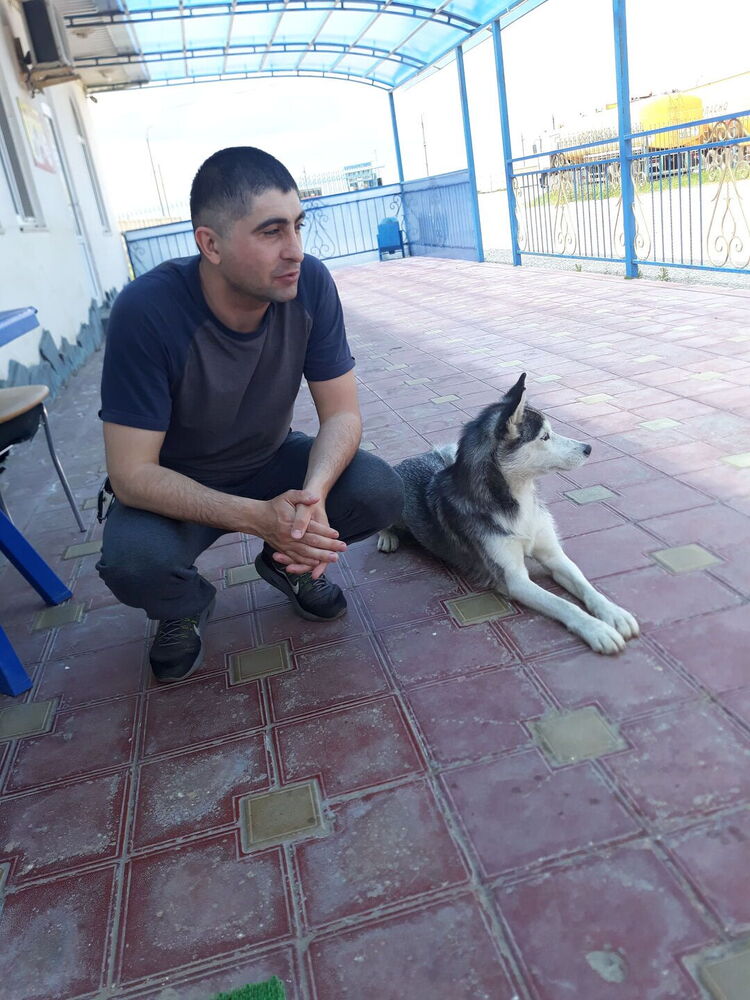 ���������� ������, ���� ������� �����, 41 ���, ������������ ��� ������, ����� � ���������