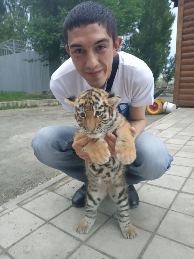 ���������� ���������, ���� ������� ������, 38 ���, ������������ ��� ������, ����� � ���������, c�������� ���������