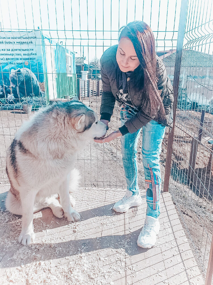 ���� 31359987 ������� ��������, 32 ����, ���� ���������� � ��������