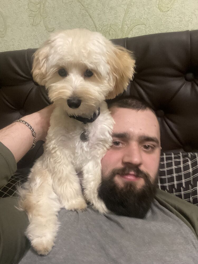 ���� 53076957 ����� �����, 24 ����, ���� ���������� � ����������