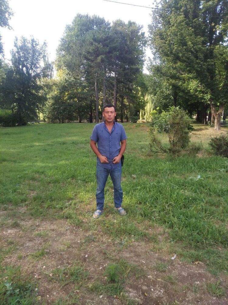 ���� 23508267 ������� ���������, 40 ���, ���� ���������� � ��������