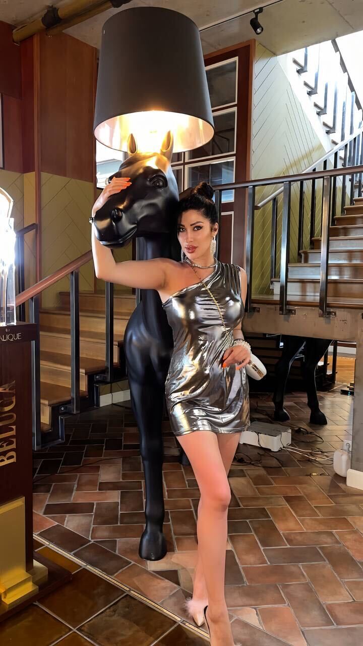 ���� 46146267 ������� �����, 33 ����, ���� ���������� � ����������