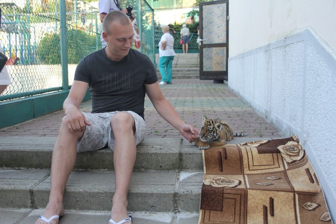 ���������� �������, ���� ������� �������, 34 ����, ������������ ��� ����� � ���������, c�������� ���������