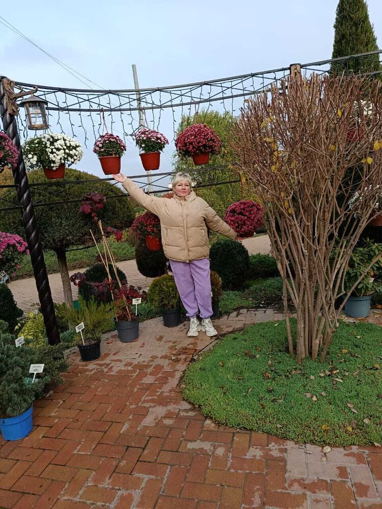 ���� 55716087 ������� ���������, 35 ���, ���� ���������� � ������� ���������