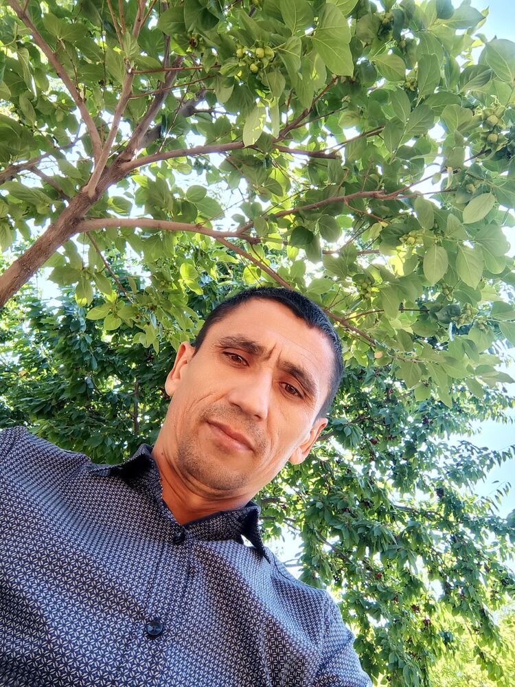  -,   , 44 ,   ,   