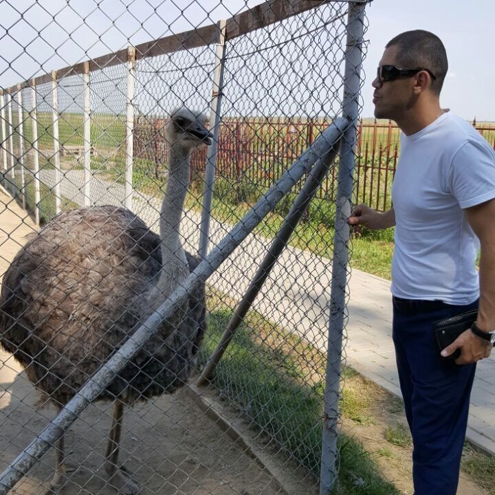 ���� 11500007 ������� ���������, 47 ���, ���� ���������� � ������