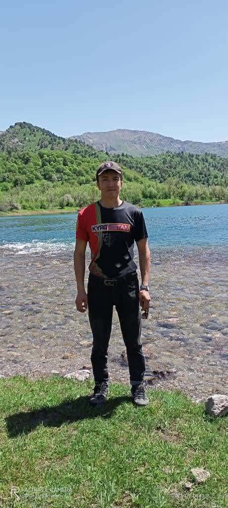  54335637  , 30 ,    -