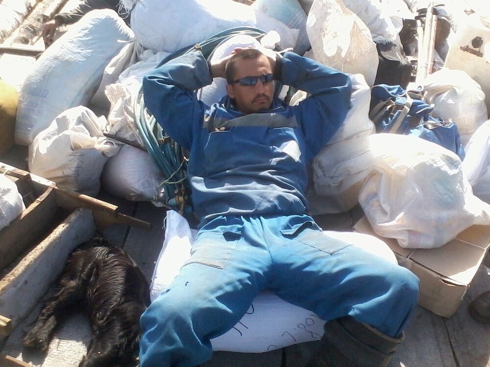  6602817  , 50 ,    -