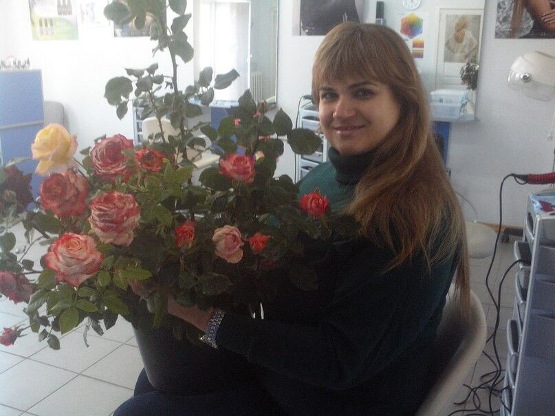 ���������� ��������������, ���� ������� �����, 44 ����, ������������ 